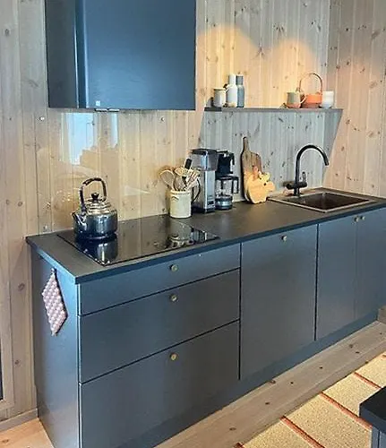 Mountain Cabinin Valdres * Aurdal