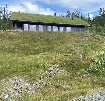 Mountain Cabinin Valdres بيت للعطل Aurdal